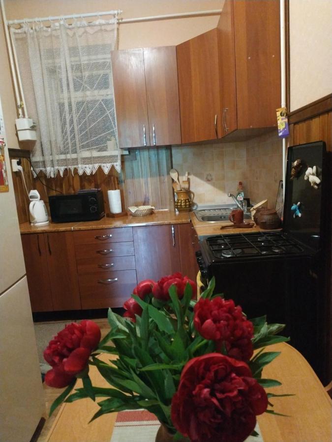 Apartment In The Center Of Old Town Kamianets Podilskyi Bagian luar foto