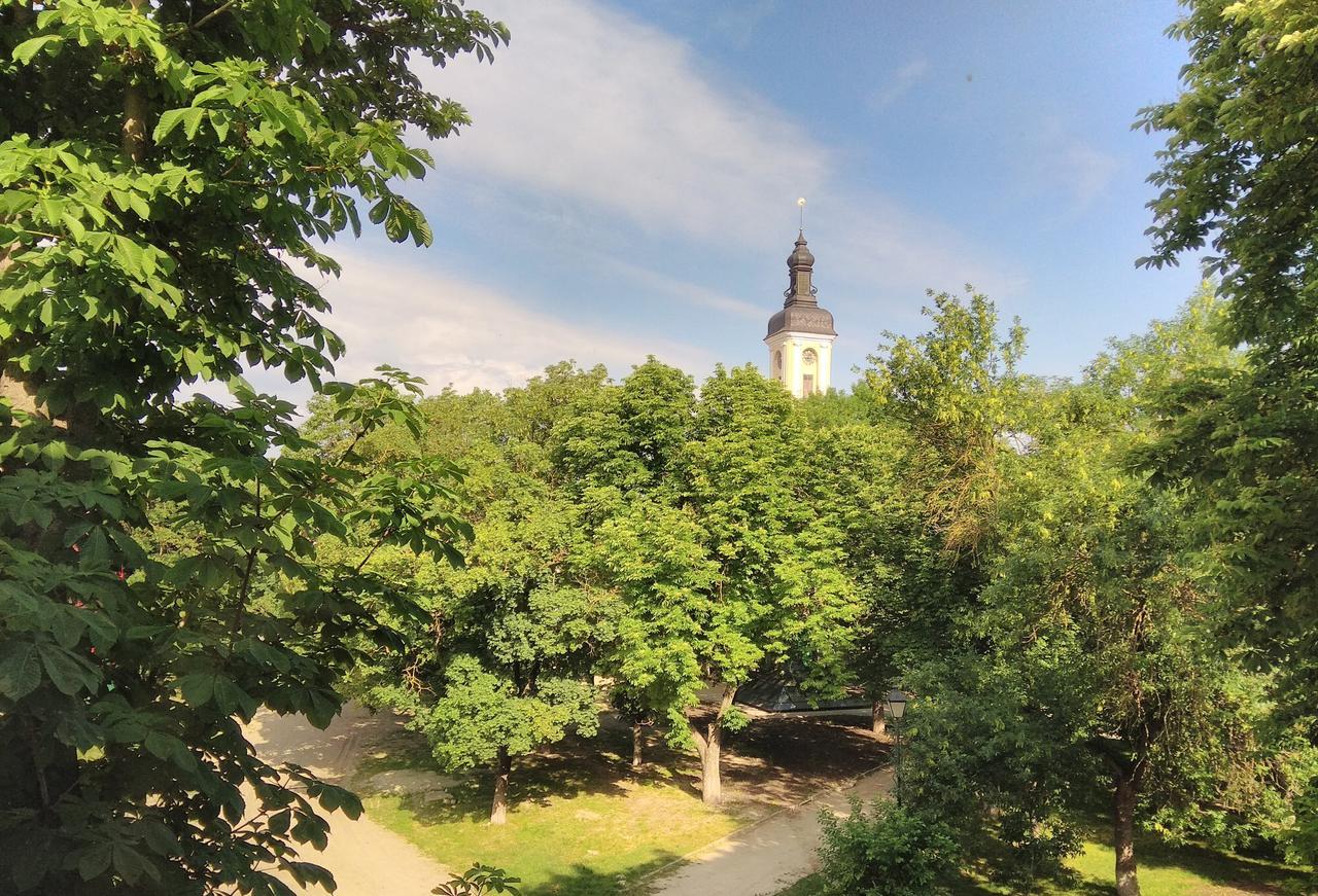 Apartment In The Center Of Old Town Kamianets Podilskyi Bagian luar foto